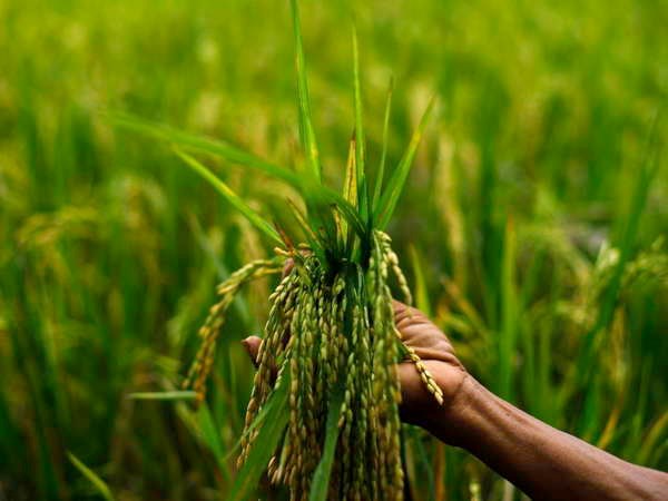 อินโดนีเซียและมาเลเซียหารือเกี่ยวกับความมั่นคงด้านอาหาร